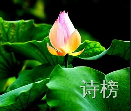微信图片_20250806201324.png