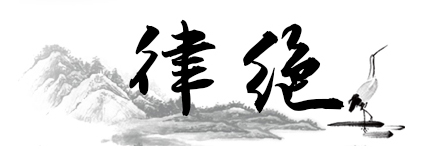 1767184712298499.jpg