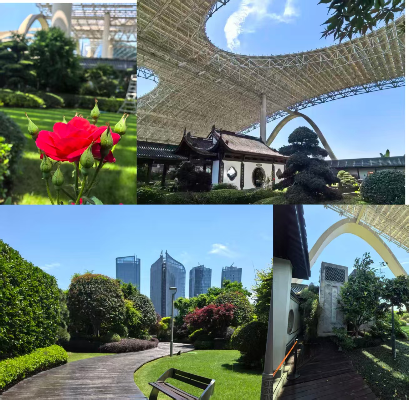 微信图片_20260508164236.jpg