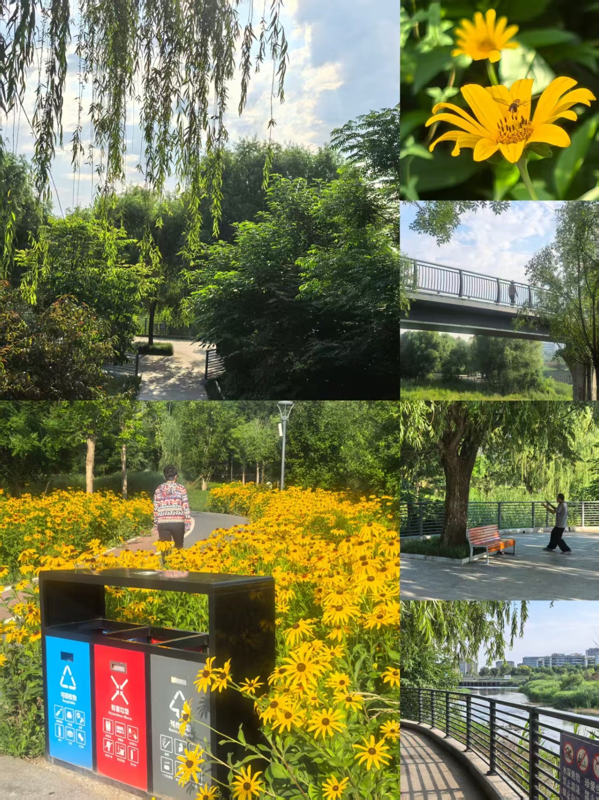 1781101342767410.jpg 微信图片_20260610221922_3_2.jpg