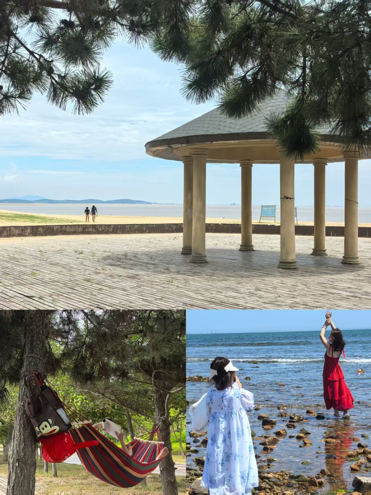 观海公园松林.jpg