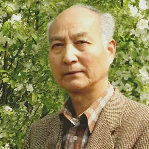 王如敏